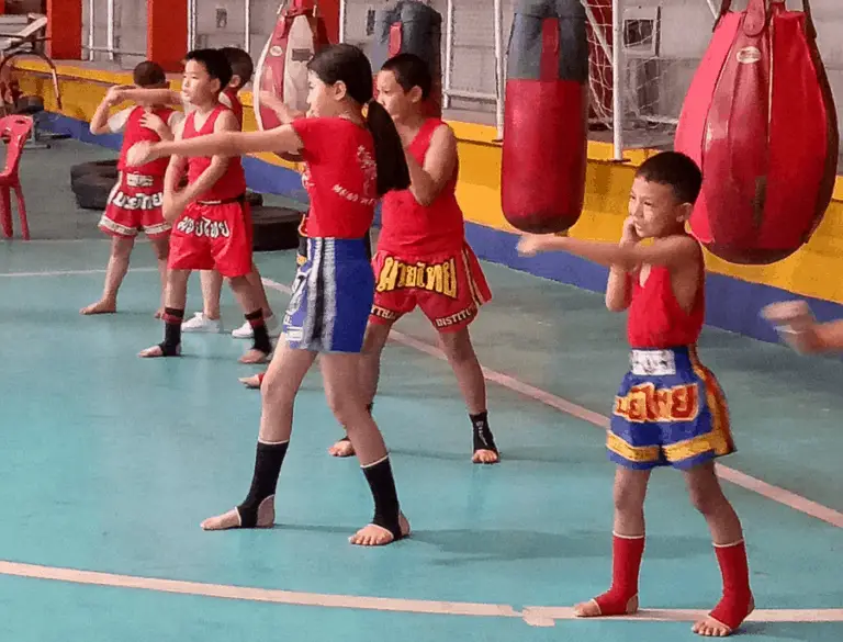 Best Kicking Bags For Kids And Adults In Each Martial Art Style