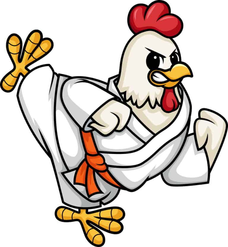 Karate Jokes For Kids Little Ninja Parenting