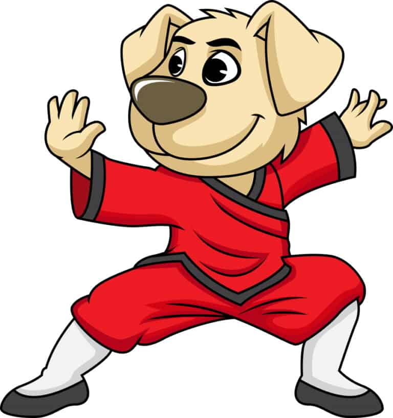 What Is A Kung Fu Uniform Called? Little Ninja Parenting